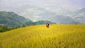 Begin your visa-prepared day with Vietnam’s tranquil ambiance
